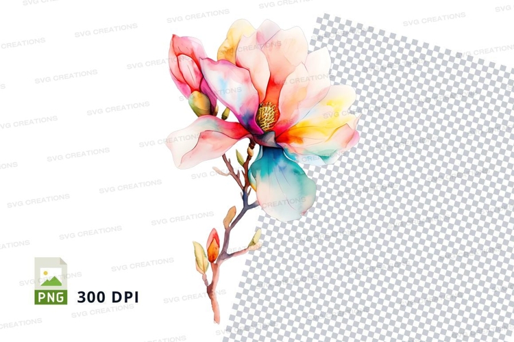 Magnolia Illustration Image 13