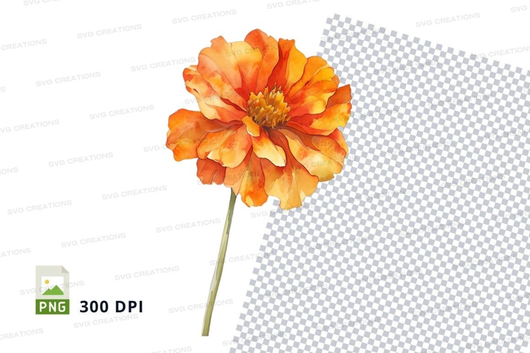 Transparent Background Flower Clipart Image 21
