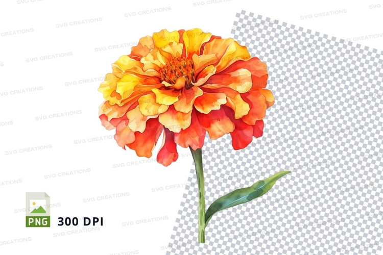 Nature Illustration Image 21