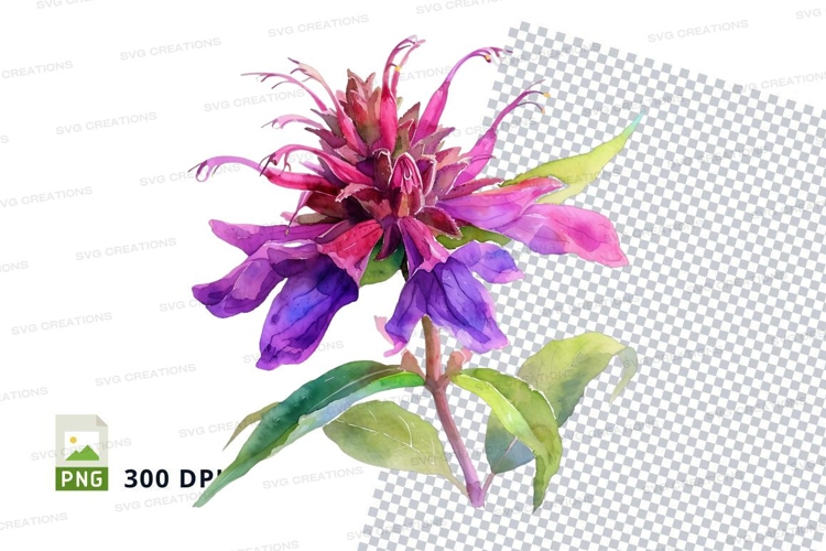 Purple Flower Clipart Image 9
