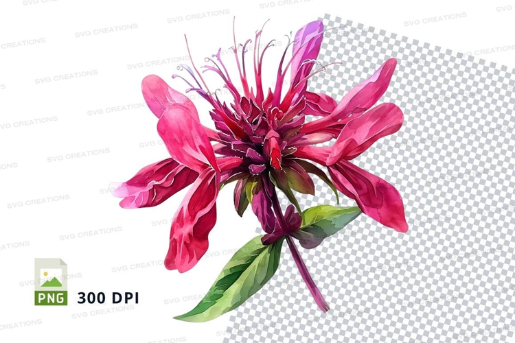 Pink Flower Png Image 20