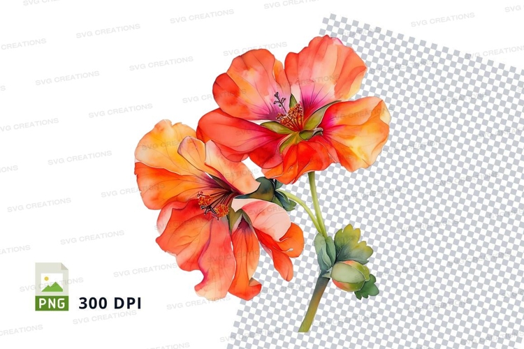 Orange Flower Png Image 16