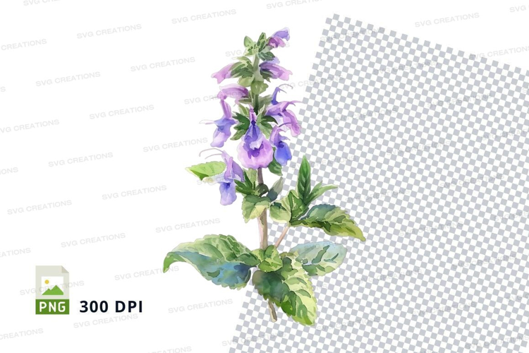 Watercolor illustration of a purple flower