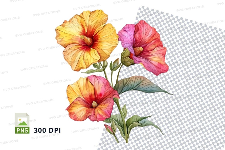 Vibrant hibiscus flowers clipart png
