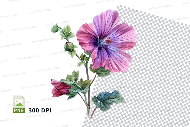 Purple hollyhock flower