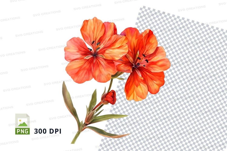 Nature Illustration Image 20