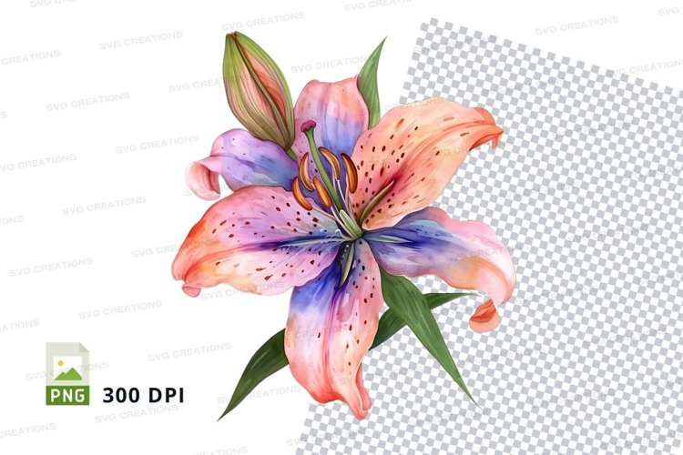 Nature Illustration Image 12