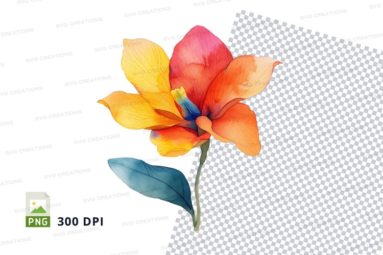 Vibrant flower clipart png