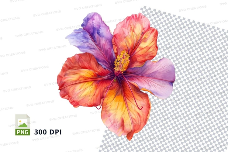 Hibiscus Illustration Image 24