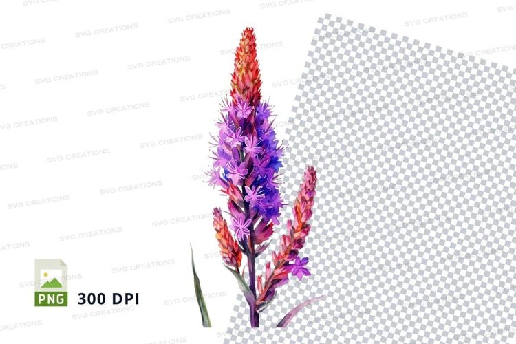 Transparent Background Flower Clipart Image 16