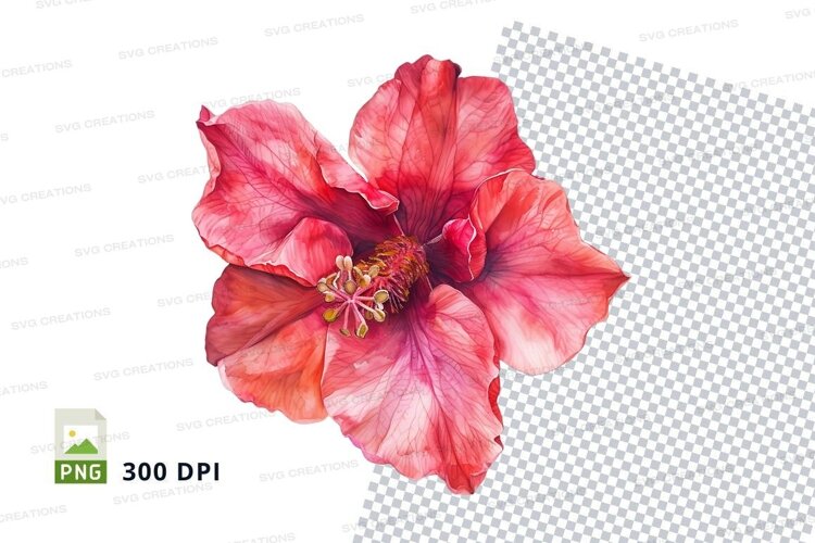 Vibrant red hibiscus flower example image 1