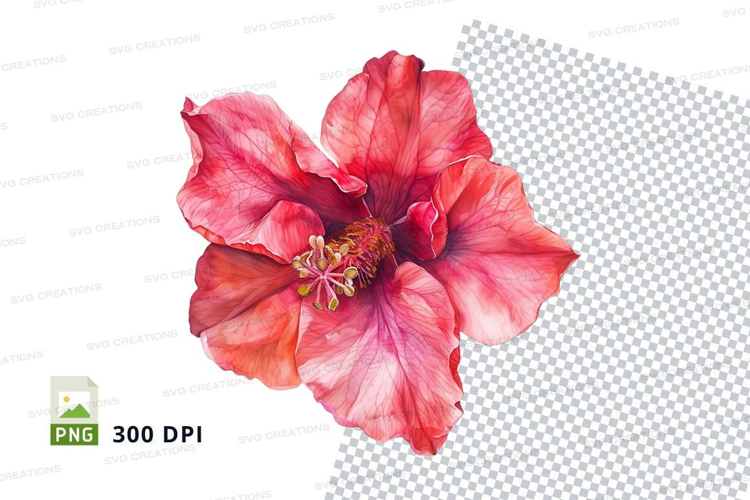 Vibrant red hibiscus flower