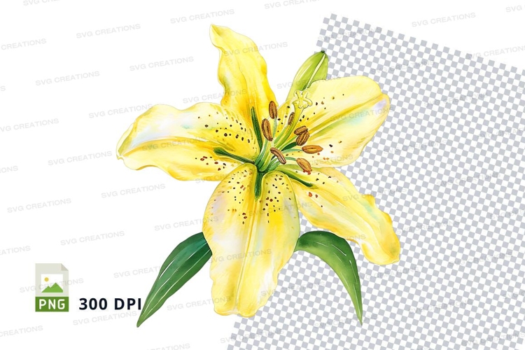 Yellow lily clipart png