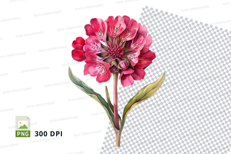 Pink Flower Png Image 18