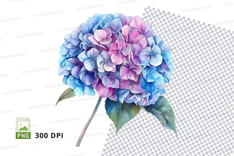 Hydrangea Clipart Image 9