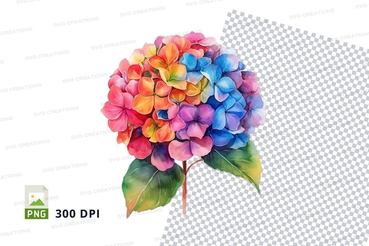 Hydrangea Clipart Image 11
