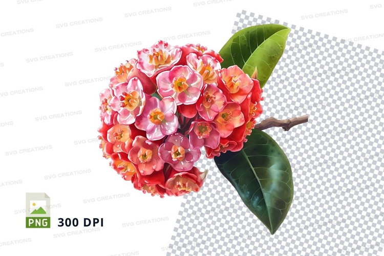 Transparent Background Flower Clipart Image 12