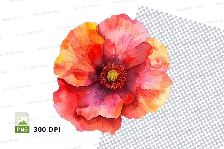 Poppy Clipart Image 19