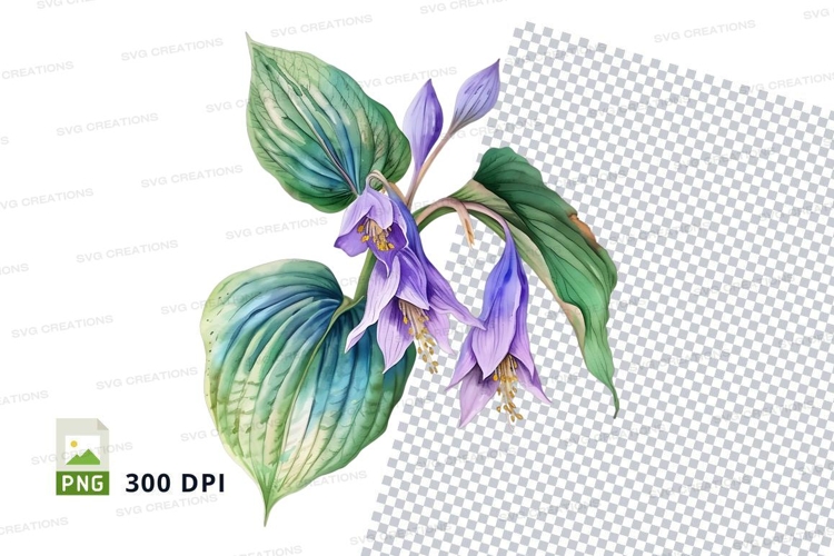 Transparent Background Flower Clipart Image 11