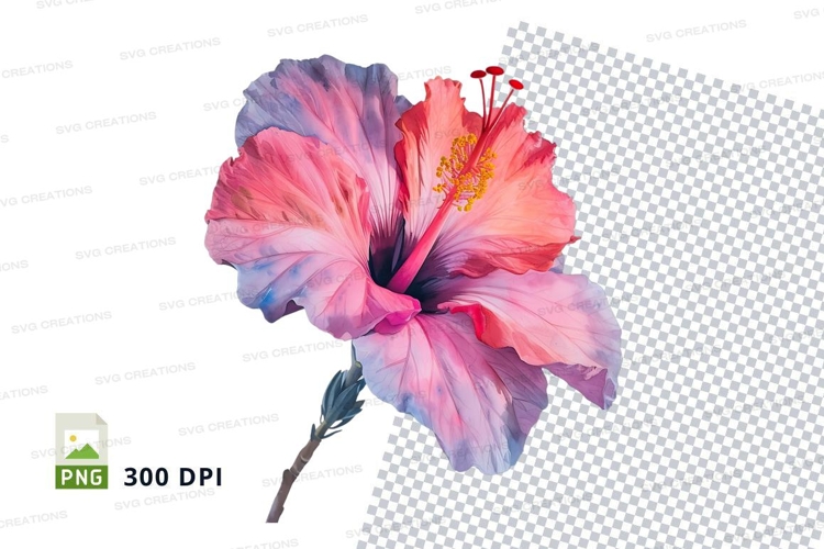 Hibiscus Flower Clipart Image 8