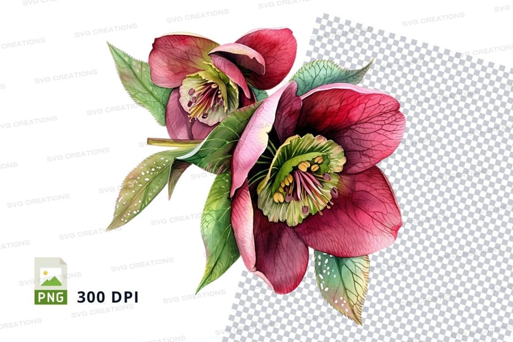 Vibrant red flower clipart png