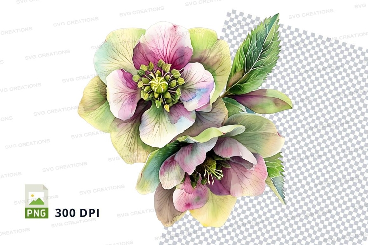 Transparent Background Flower Clipart Image 9