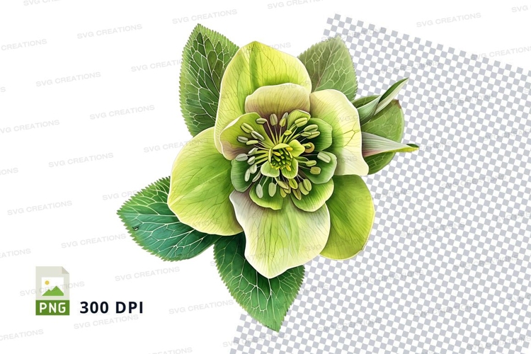 Yellow Flowers Png Image 7