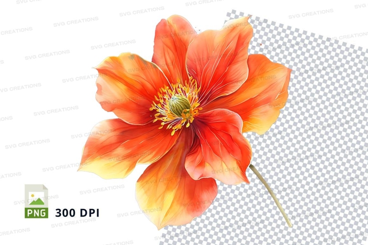 Poppy Clipart Image 18