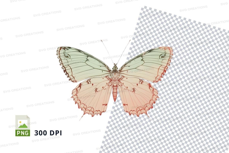Insect Clipart Image 18