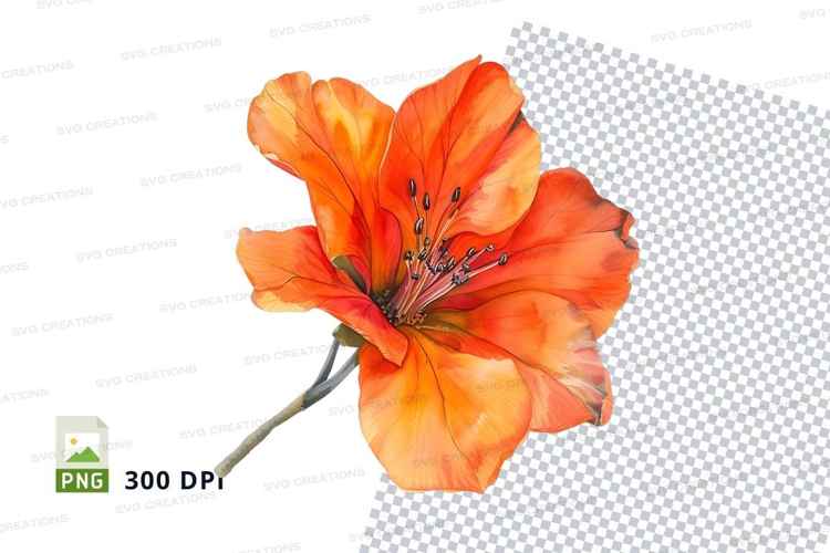 Transparent Background Flower Clipart Image 2
