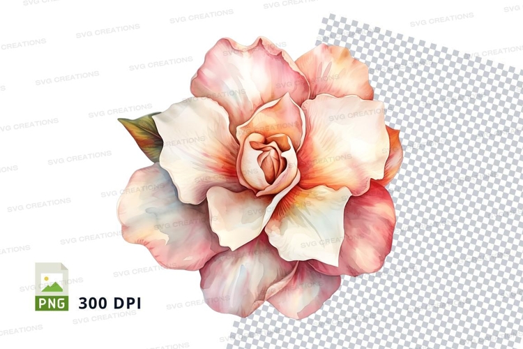 Pink Rose Clipart Image 5