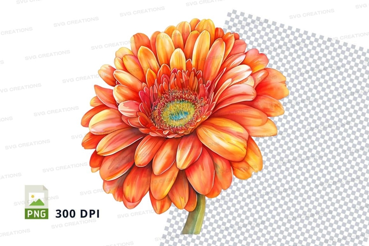 Daisy Flower Clipart Image 16