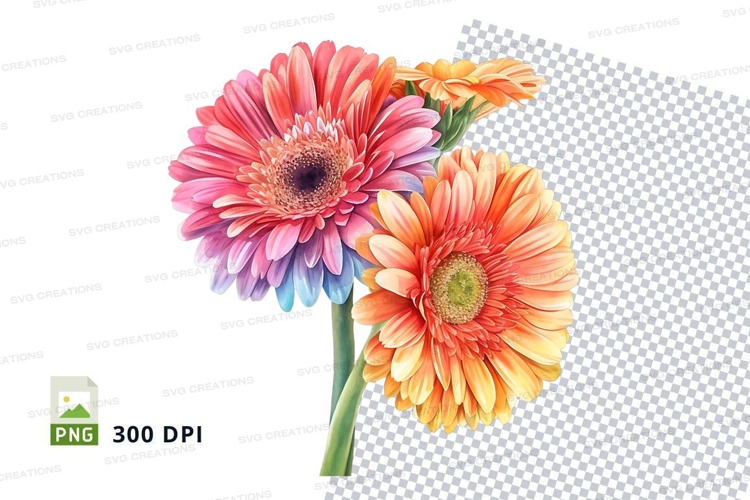 Daisies Clipart Image 9