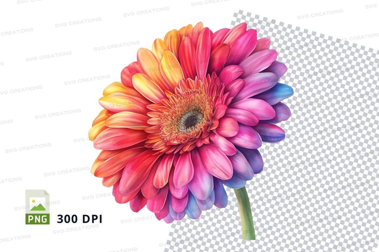Colorful gerbera daisy clipart png