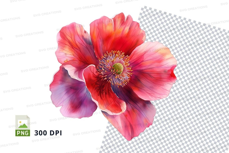 Poppy Clipart Image 18