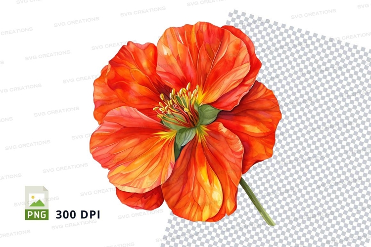 Vibrant orange flower clipart png