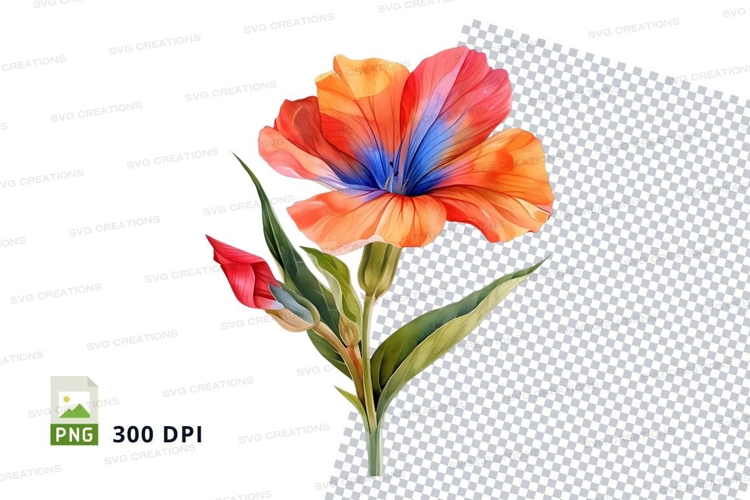 Vibrant gladiolus flower clipart png