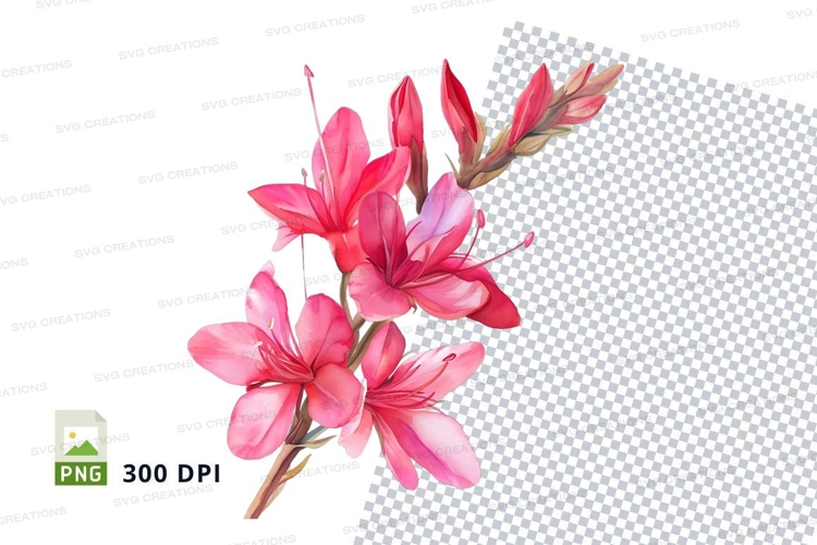 Beautiful pink flowers clipart png