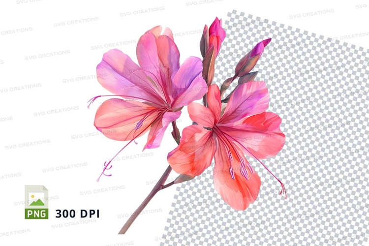 Orchid Png Image 21
