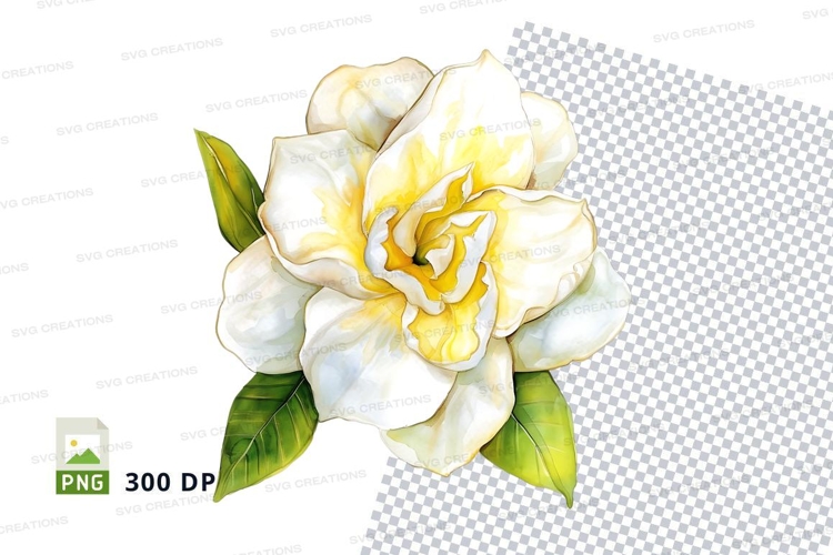 White and yellow flower clipart png