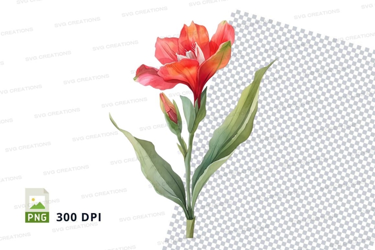 Red Flower Png Image 11