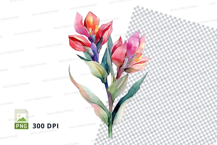 Tulip Illustration Image 9