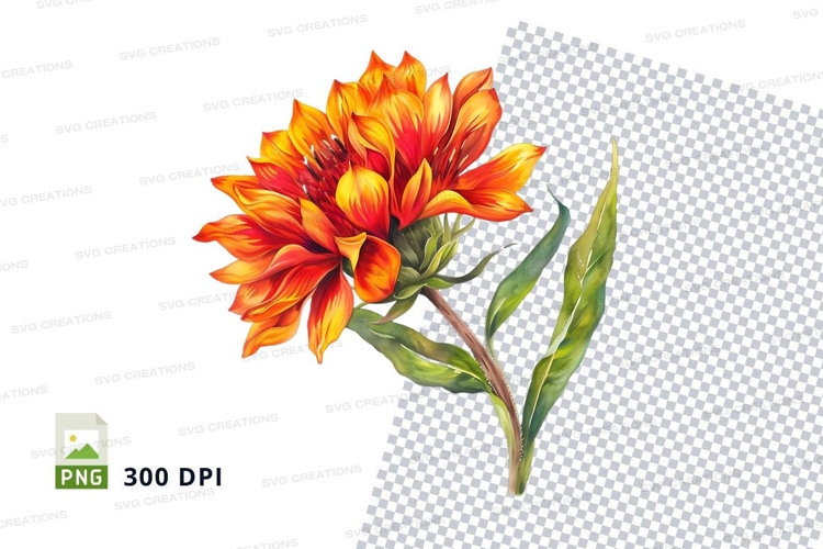 Orange Flower Png Image 14