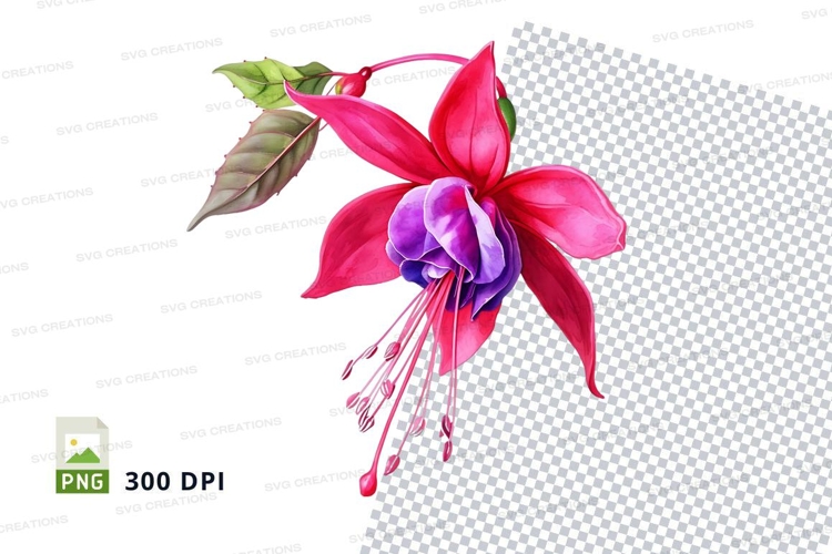Transparent Background Flower Clipart Image 24