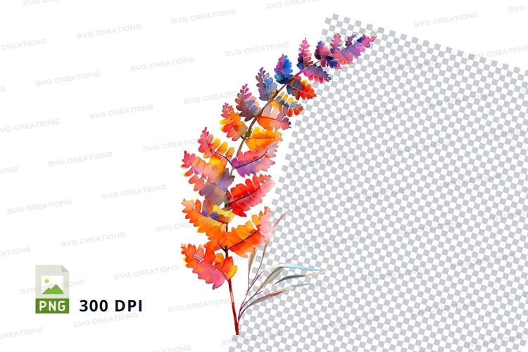 Daisy Illustration Image 17