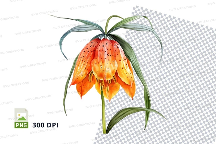 Orange Flower Png Image 11