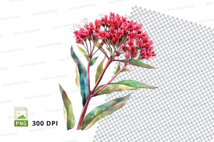 Red Flower Png Image 10