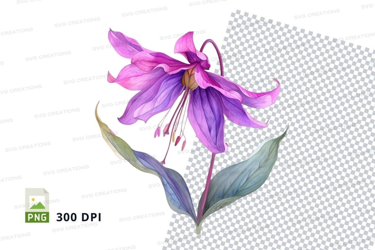 Flower Clipart Image 11