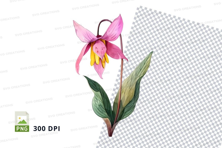 Pink Flower Png Image 10