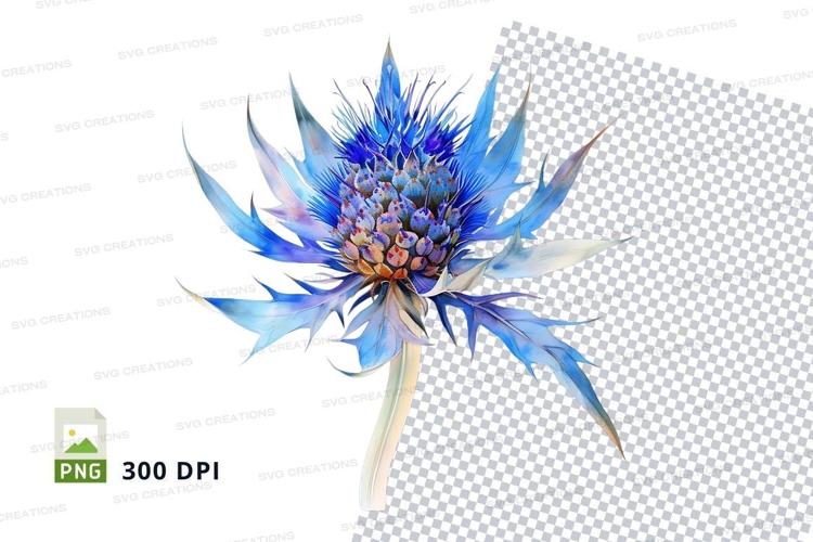 Feather Clipart Image 21